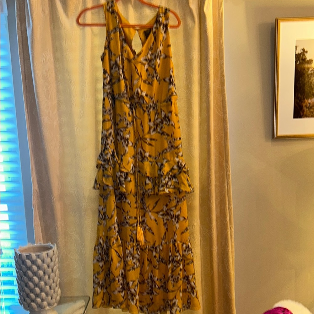 Taylor Brown and Gold Sleeveless V-Neck Maxi Dress